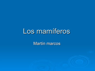 Los mamíferos  Martín marcos  