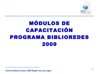 MÓDULOS DE CAPACITACIÓN PROGRAMA BIBLIOREDES 2009 Carmen Baeza Lizama, ERO Región de Los Lagos 