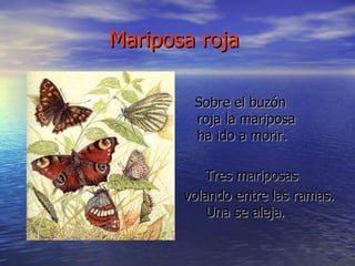 Mariposa roja   Sobre el buzón roja la mariposa ha ido a morir.  Tres mariposas volando entre las ramas.   Una se aleja.  