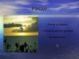 Paisaje Frente al océano y frente al sol qué grandes las hierbecitas.                                                                       