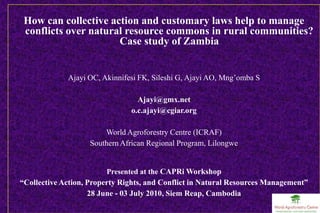 How can collective action and customary laws help to manage
 conflicts over natural resource commons in rural communities?
                      Case study of Zambia


             Ajayi OC, Akinnifesi FK, Sileshi G, Ajayi AO, Mng’omba S

                                 Ajayi@gmx.net
                               o.c.ajayi@cgiar.org

                       World Agroforestry Centre (ICRAF)
                   Southern African Regional Program, Lilongwe


                        Presented at the CAPRi Workshop
“Collective Action, Property Rights, and Conflict in Natural Resources Management”
                    28 June - 03 July 2010, Siem Reap, Cambodia
 