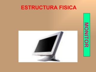 ESTRUCTURA FISICA MONITOR 