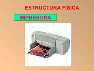 ESTRUCTURA FISICA IMPRESORA 