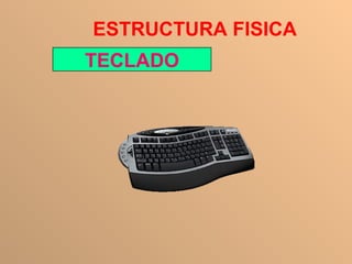 ESTRUCTURA FISICA TECLADO 