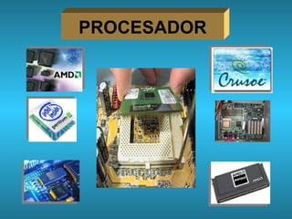 PROCESADOR 
