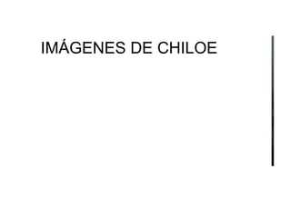 IMÁGENES DE CHILOE 
