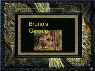 Bruno’s  Garden 