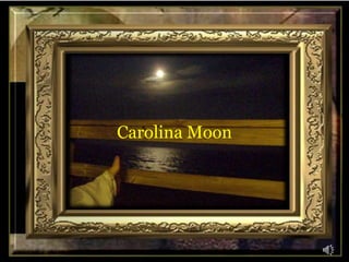 Carolina Moon 