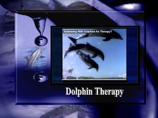 Dolphin Therapy 