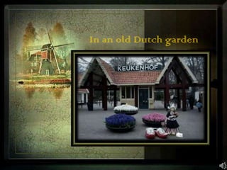 In an old Dutch garden 