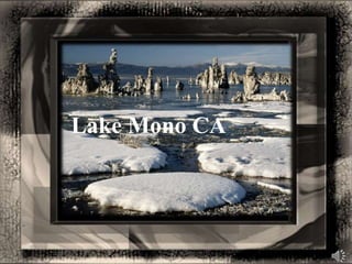 Lake Mono CA 