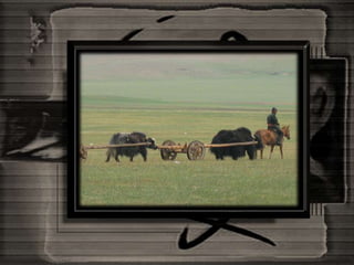 Mongolia And The Gobi Desert