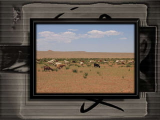 Mongolia And The Gobi Desert