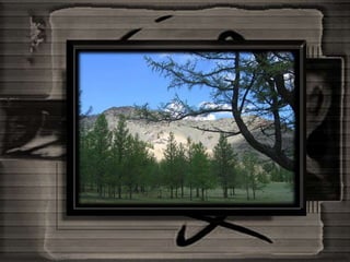 Mongolia And The Gobi Desert