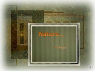 Nature… by Design 