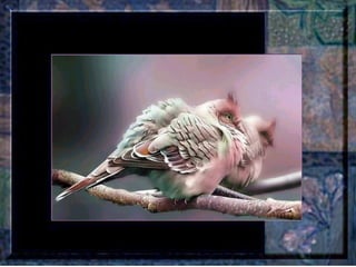 Leçon de PERSÉVERANCE Musique: Songbird – Barbra Streisand  