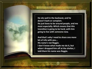 He sits well in the backseat, and he doesn't bark or complain. He just loves to be around people, and me most especially. Which means that this transition is going to be hard, with him going to live with someone new. And that's why I need to share one more bit of info with you... His name's not Reggie. I don't know what made me do it, but when I dropped him off at the shelter, I told them his name was Reggie. 