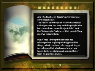 And I had just seen Reggie's advertisement on the local news. The shelter said they had received numerous calls right after, but they said the people who had come down to see him just didn't look like "Lab people," whatever that meant. They must've thought I did. But at first, I thought the shelter had misjudged me in giving me Reggie and his things, which consisted of a dog pad, bag of toys almost all of which were brand new tennis balls, his dishes, and a sealed letter from his previous owner. 
