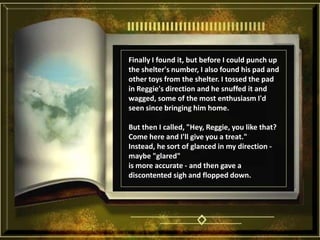 Finally I found it, but before I could punch up the shelter's number, I also found his pad and other toys from the shelter. I tossed the pad in Reggie's direction and he snuffed it and wagged, some of the most enthusiasm I'd seen since bringing him home. But then I called, "Hey, Reggie, you like that? Come here and I'll give you a treat." Instead, he sort of glanced in my direction - maybe "glared" is more accurate - and then gave a discontented sigh and flopped down. 