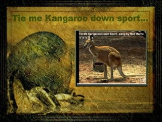 Tie me kangaroo down sport...