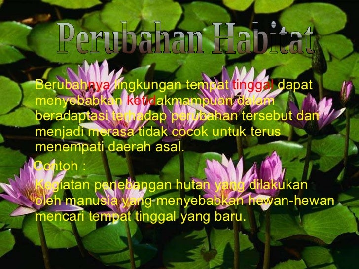 Mengapa perubahan habitat berpengaruh pada persebaran flora dan fauna