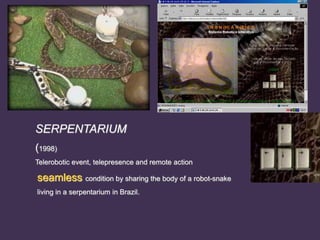 SERPENTARIUM
(1998)
Telerobotic event, telepresence and remote action
seamless condition by sharing the body of a robot-snake
living in a serpentarium in Brazil.
 