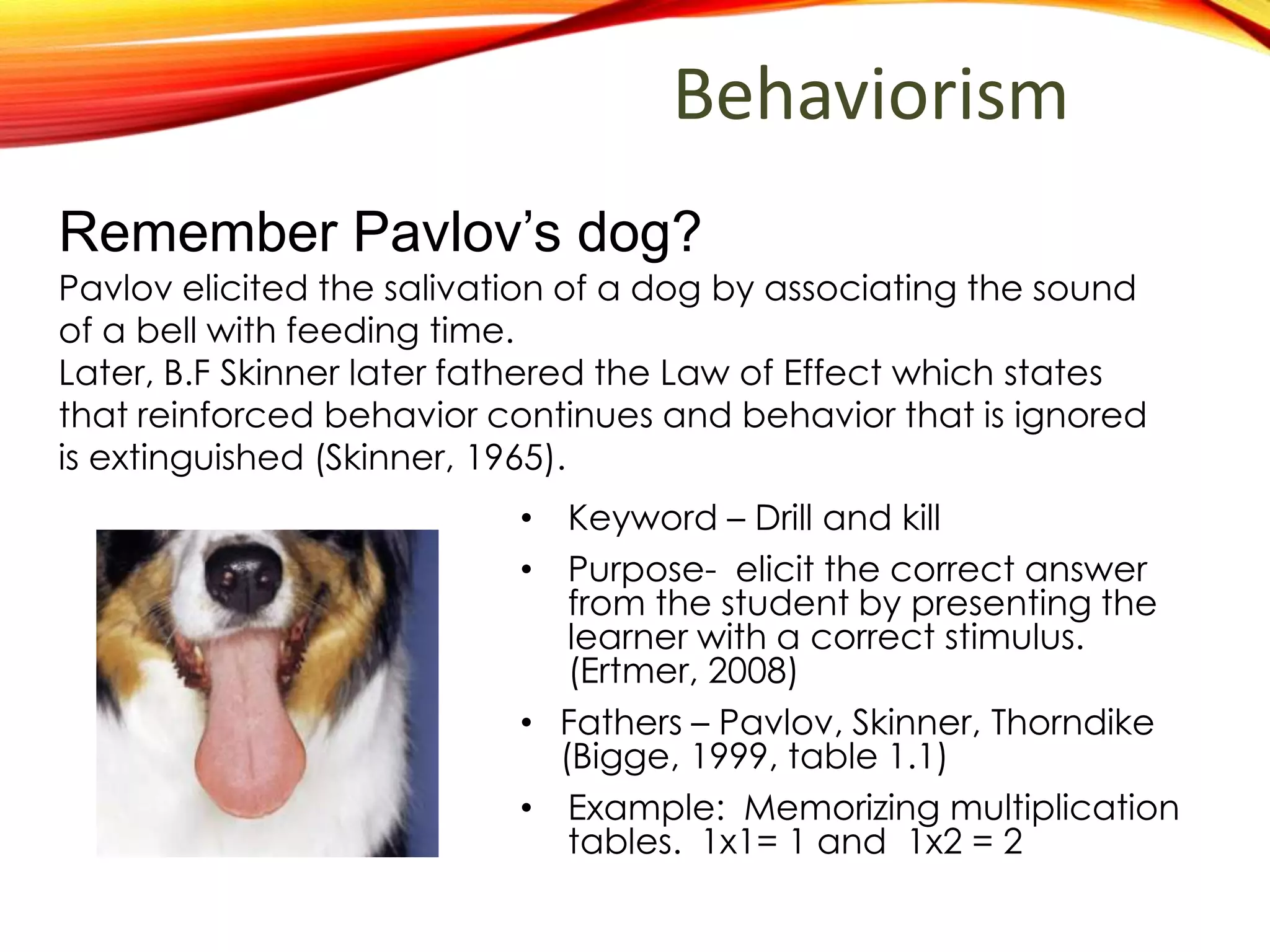 Behaviorism
• Keyword – Drill and kill
• Purpose- elicit the correct answer
from the student by presenting the
learner with a correct stimulus.
(Ertmer, 2008)
• Fathers – Pavlov, Skinner, Thorndike
(Bigge, 1999, table 1.1)
• Example: Memorizing multiplication
tables. 1x1= 1 and 1x2 = 2
Remember Pavlov’s dog?
Pavlov elicited the salivation of a dog by associating the sound
of a bell with feeding time.
Later, B.F Skinner later fathered the Law of Effect which states
that reinforced behavior continues and behavior that is
ignored is extinguished (Skinner, 1965).
 