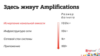 Здесь живут Amplifications 
Размер 
б о т н е т а 
Исчерпание канальной емкости 1 0 0 k + 
Инфраструктура сети 10k+ 
Сетевой стек системы 1k+ 
Приложение 100+ 
 
