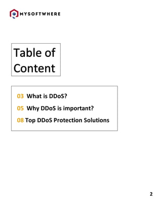 DDoS Report.docx