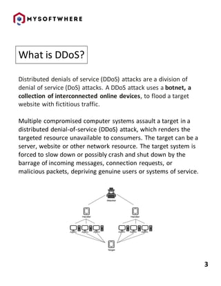 DDoS Report.docx
