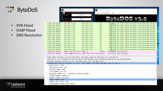 ByteDoS
• SYN Flood
• ICMP Flood
• DNS Resolution
 