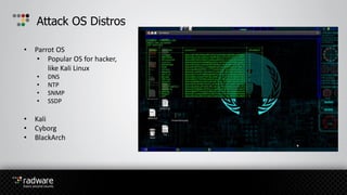 Attack OS Distros
• Parrot OS
• Popular OS for hacker,
like Kali Linux
• DNS
• NTP
• SNMP
• SSDP
• Kali
• Cyborg
• BlackArch
 