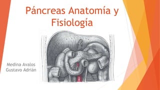 Páncreas Anatomía y
Fisiología
Medina Avalos
Gustavo Adrián
 