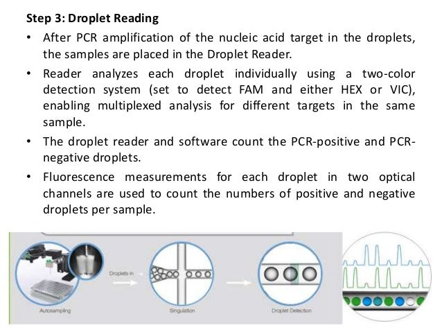 Droplet Digital Pcr Frequently Asked Questions – QOIBYX