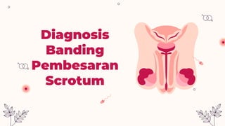 Diagnosis
Banding
Pembesaran
Scrotum
 