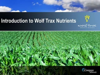 Introduction to Wolf Trax Nutrients
 