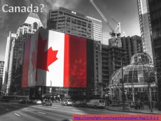 http://compfight.com/search/canadian-flag/1-0-1-1
 