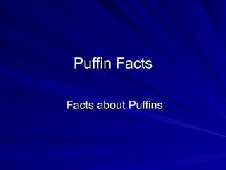 Puffin Facts Facts about Puffins 