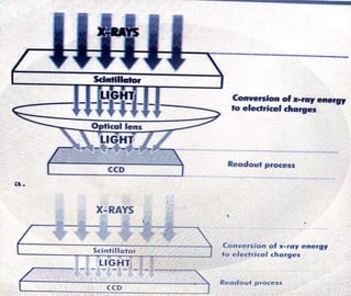 2/21/2020 sadiqbabahabu@gmail.com 18
 