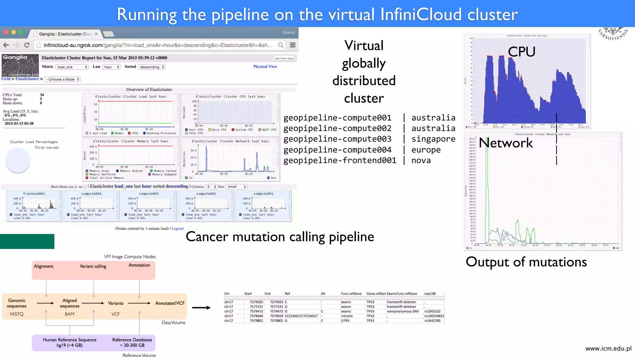 www.icm.edu.pl
Running the pipeline on the virtual InfiniCloud cluster
Virtual
globally
distributed
cluster
CPU
Network
Cancer mutation calling pipeline
Output of mutations
geopipeline-compute001 | australia |
geopipeline-compute002 | australia |
geopipeline-compute003 | singapore |
geopipeline-compute004 | europe |
geopipeline-frontend001 | nova |
 