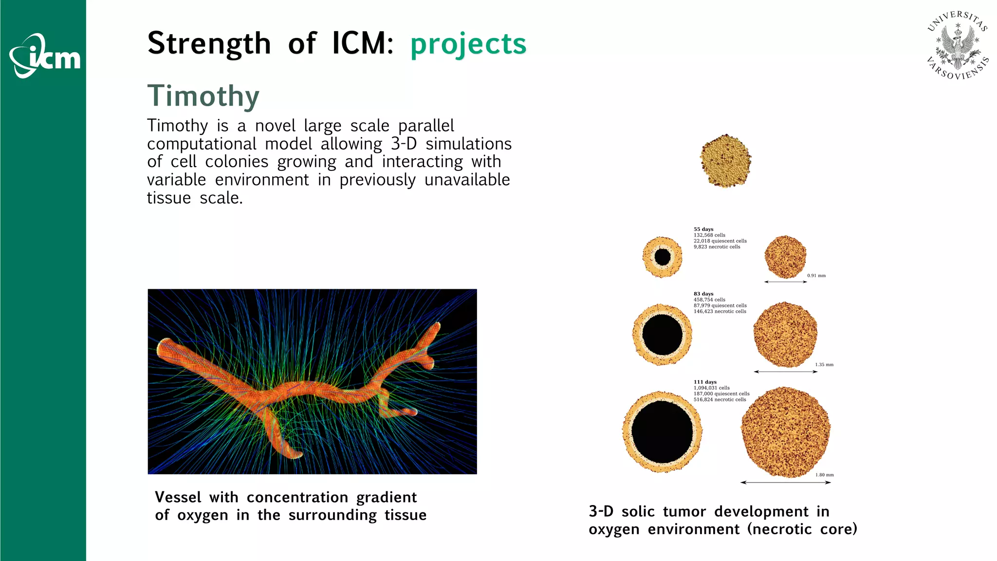 Strength of ICM: projects
Timothy
Timothy is a novel large scale parallel
computational model allowing 3-D simulations
of cell colonies growing and interacting with
variable environment in previously unavailable
tissue scale.
Vessel with concentration gradient
of oxygen in the surrounding tissue 3-D solic tumor development in
oxygen environment (necrotic core)
 