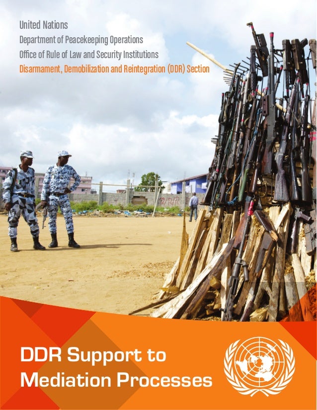 Assessing Impact Of Ddr Programmes – EXFNKL