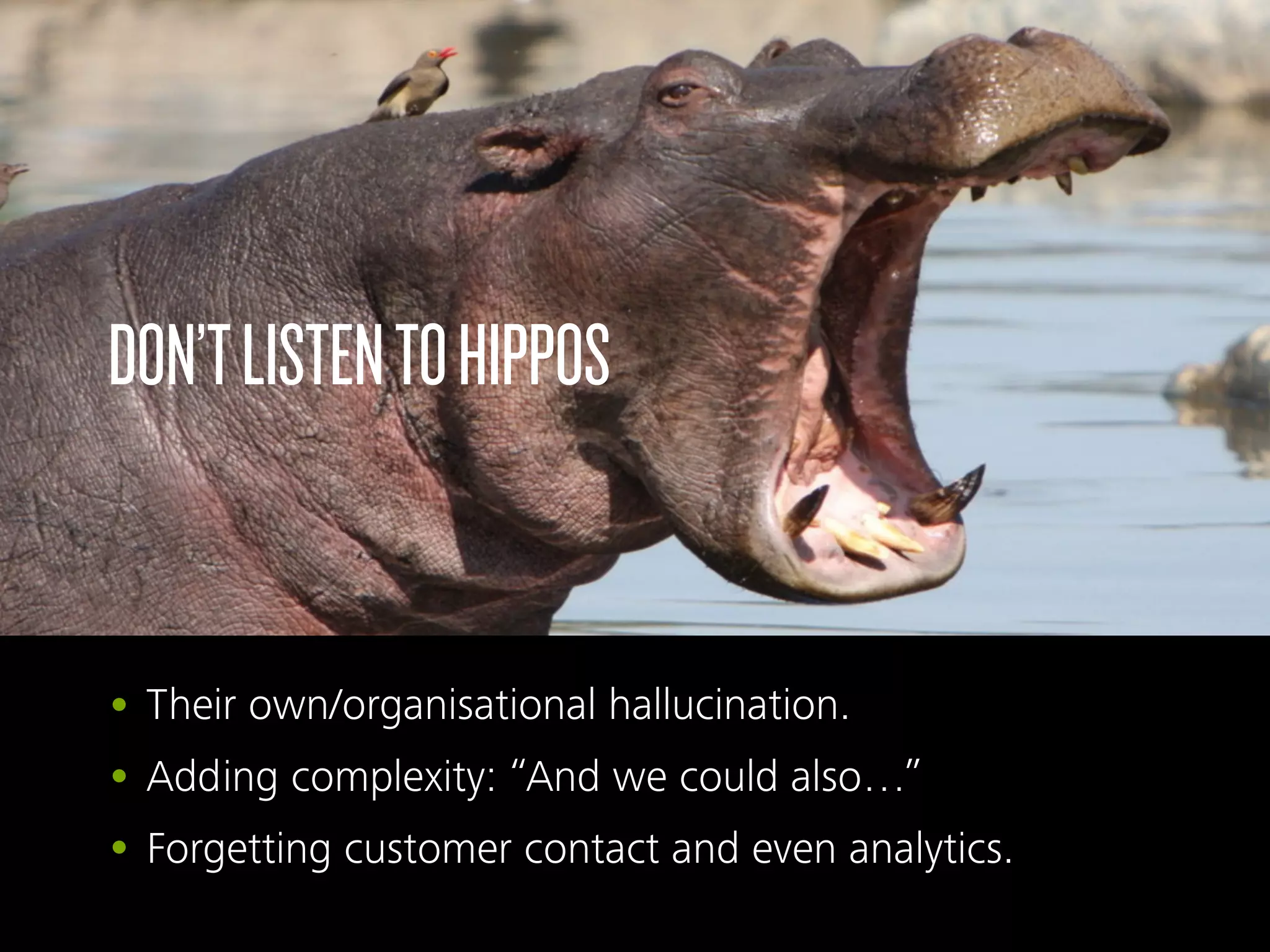• Their own/organisational hallucination.
• Adding complexity: “And we could also…”
• Forgetting customer contact and even analytics.
DON’TLISTENTOHIPPOS
 