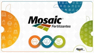 DDSIG PERCEPÇAO DE RISCOS 000000000.pptx