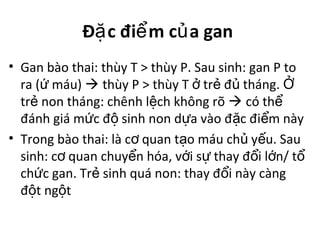 Đ c đi m c a ganặ ể ủ
• Gan bào thai: thùy T > thùy P. Sau sinh: gan P to
ra ( máu)ứ  thùy P > thùy T tr đ tháng.ở ẻ ủ Ở
tr non tháng: chênh l ch không rõẻ ệ  có thể
đánh giá m c đ sinh non d a vào đ c đi m nàyứ ộ ự ặ ể
• Trong bào thai: là c quan t o máu ch y u. Sauơ ạ ủ ế
sinh: c quan chuy n hóa, v i s thay đ i l n/ tơ ể ớ ự ổ ớ ổ
ch c gan. Tr sinh quá non: thay đ i này càngứ ẻ ổ
đ t ng tộ ộ
 