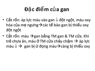 Đ c đi m c a ganặ ể ủ
• C t r n: áp l c máu vào ganắ ố ự ↓ đ t ng t, máu oxyộ ộ
hóa c a m ng ngủ ẹ ư các t bào gan b thi u oxyế ị ế
đ t ng tộ ộ
• C t r n: máuắ ố gan b ng TM gan & TM c a. Khiằ ử
tr ch a ăn, máu TM c a ch y ch mẻ ư ở ử ả ậ  áp l cự
máu ↓  gan b đ ng máuị ứ ọ càng b thi u oxyị ế
 
