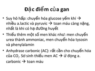 Đ c đi m c a ganặ ể ủ
• Suy hô h p: chuy n hóa glucose y m khíấ ể ế 
nhi u a.lactic và pyruvicề  toan máu càng n ng,ặ
nh t là khi có h đ ng huy tấ ạ ườ ế
• Thi u thêm m t s men khác nh : men chuy nế ộ ố ư ể
urea thành ammoniac, men chuy n hóa tysosinể
và phenylalamin
• Anhydrase carbonic (AC): r t c n cho chuy n hóaấ ầ ể
c a COủ 2. S sinh thi u men ACơ ế  đ ng a.ứ ọ
carbonic  toan máu
 