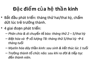 Đ c đi m c a h th n kinhặ ể ủ ệ ầ
• B t đ u phát tri n: tháng th hai/thai kỳ, ch mắ ầ ể ứ ấ
d t lúc tr tr ng thành.ứ ẻ ưở
• 4 giai đo n phát tri n:ạ ể
– Phân chia & di chuy n t bào: tháng th 2 – 5/thai kỳể ế ứ
– Bi t hóa vàệ  s l ng TB: tháng th 5/thai kỳố ượ ứ  6
tháng tu iổ
– Myelin hóa dây th n kinh: sau sinh & k t thúc lúc 1 tu iầ ế ổ
– Tr ng thành t ch c não: sau khi ra đ i & ti p t cưở ổ ứ ờ ế ụ
đ n thành niên.ế
 
