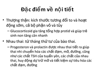 Đ c đi m v n i ti tặ ể ề ộ ế
• Th ng th n: kích th c t ng đ i to và ho tượ ậ ướ ươ ố ạ
đ ng s m, c b ph n v và t yộ ớ ả ộ ậ ỏ ủ
– Glucocorticoid gia tăng t ng h p protid và giúp trổ ợ ẻ
sinh non tăng cân nhanh
• Nhau thai: t tháng th t c a bào thai.ừ ứ ư ủ
– Progesteron và prolactin đ c nhau thai ti t ra giúpượ ế
thai nhi chuy n hóa các ch t đ m, m , đ ng, cũngể ấ ạ ỡ ườ
nh các ch t TSH c a tuy n yên, các ch t c a nhauư ấ ủ ế ấ ủ
thai, huy đ ng d tr m và ti t ki m s tiêu hóa cácộ ự ữ ỡ ế ệ ự
ch t đ m, đ ngấ ạ ườ
 