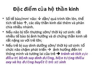Đ c đi m c a h th n kinhặ ể ủ ệ ầ
• S t bào/mmố ế 3
não:  d n/ quá trình l n lên, thầ ớ ể
tích t bàoế , các dây th n kinh dài thêm và phânầ
chia nhi u nhánh.ề
• N u não b t n th ng s m/ th i kỳ s sinh: r tế ị ổ ươ ớ ờ ơ ấ
nhi u t bào b nh h ng và di ch ng th n kinh sề ế ị ả ưở ứ ầ ẽ
r t n ng so v i tr l n;ấ ặ ớ ẻ ớ
• N u tr b suy dinh d ng s m/ th i kỳ s sinh: tế ẻ ị ưỡ ớ ờ ơ ổ
ch c não ch m phát tri nứ ậ ể  nh h ng đ n tríả ưở ế
thông minh và t ng lai c a trươ ủ ẻ  tránh và tích c cự
đi u tr b nh suy dinh d ng, hi n t ng thi uề ị ệ ưỡ ệ ượ ế
oxy và h đ ng huy t tr s sinhạ ườ ế ở ẻ ơ
 